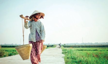 Les traditions du Vietnam