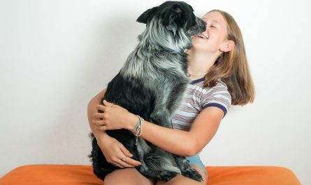 Propreté de votre chien