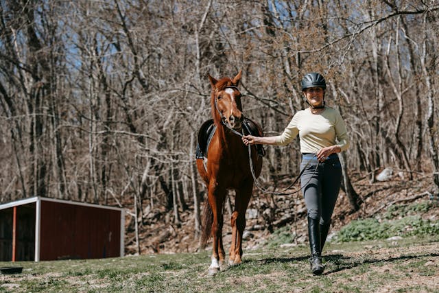 La santé de cheval